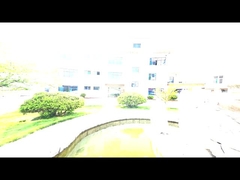 Ventilador das raizes