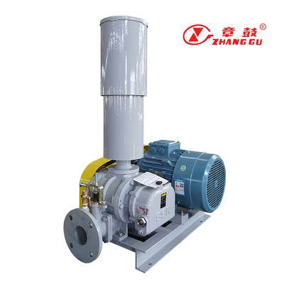 SSR Roots Vacuum Pump Roots Booster Vacuum Pump para processos críticos de missão