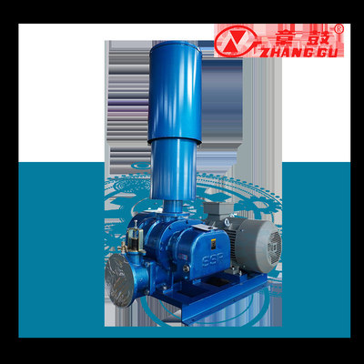 SSR Roots Vacuum Pump Roots Booster Vacuum Pump para processos críticos de missão